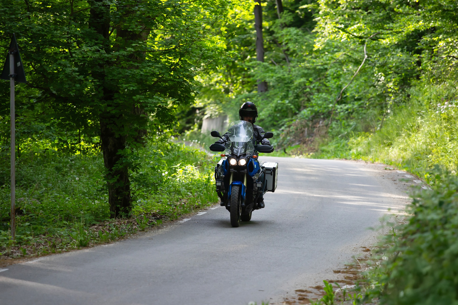 Motorradfahrer faehrt allein durch Waldstrasse | Satteltaschen